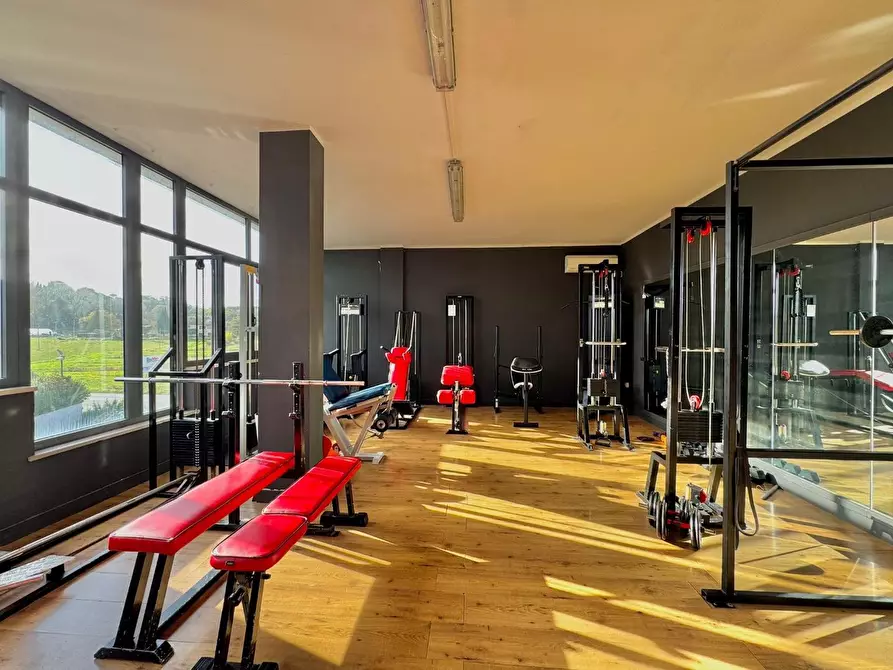 negozio in vendita a Casciana Terme Lari