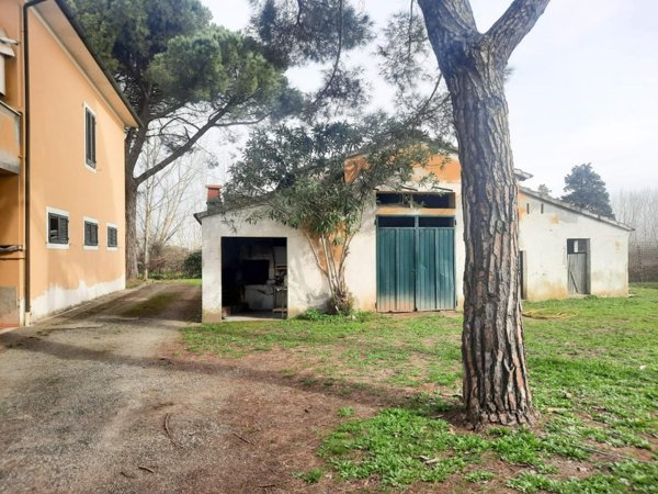 casa indipendente in vendita a Casciana Terme Lari in zona Perignano