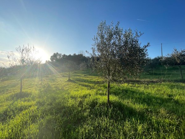 terreno agricolo in vendita a Casciana Terme Lari in zona Perignano