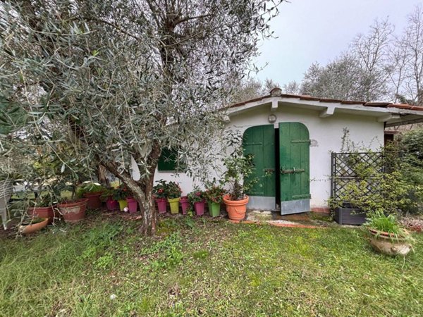 terreno agricolo in vendita a Casciana Terme Lari in zona Cevoli