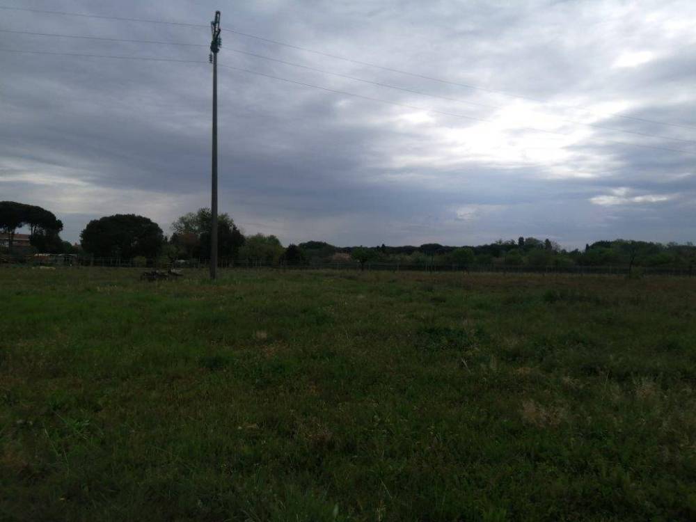 terreno agricolo in vendita a Casciana Terme Lari in zona Perignano