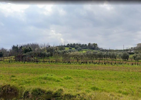 negozio in vendita a Casciana Terme Lari in zona Lari