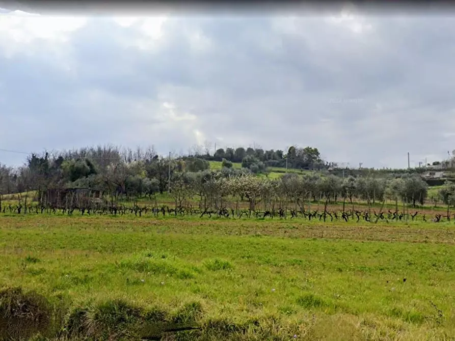 casa indipendente in vendita a Casciana Terme Lari in zona Lari