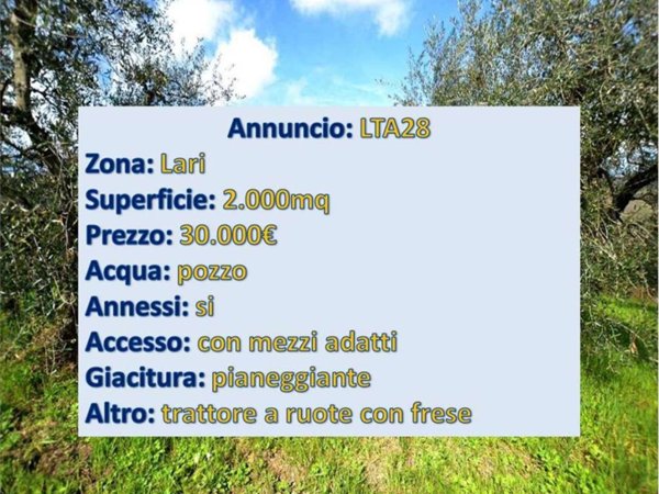 terreno agricolo in vendita a Casciana Terme Lari in zona Casciana Terme
