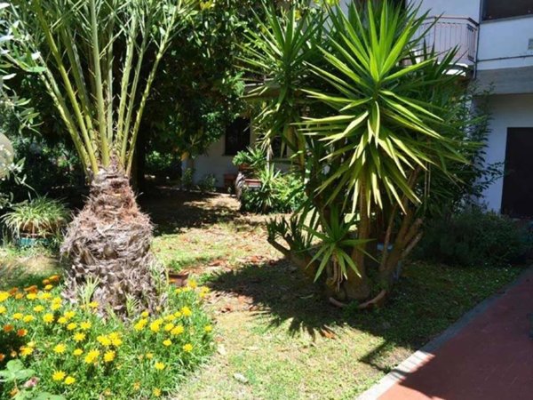 casa indipendente in vendita a Casciana Terme Lari in zona Casciana Alta