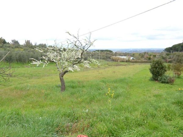 terreno agricolo in vendita a Casciana Terme Lari in zona Collemontanino