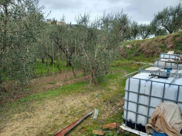terreno agricolo in vendita a Casciana Terme Lari in zona Lari