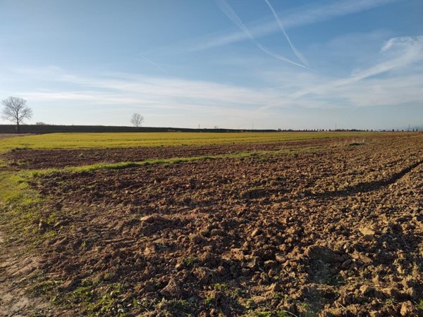 terreno agricolo in vendita a Casciana Terme Lari in zona Lavaiano