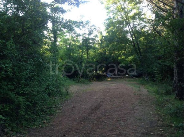 terreno agricolo in vendita a Casciana Terme Lari in zona San Ruffino