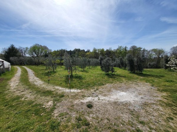 terreno agricolo in vendita a Casciana Terme Lari in zona Perignano