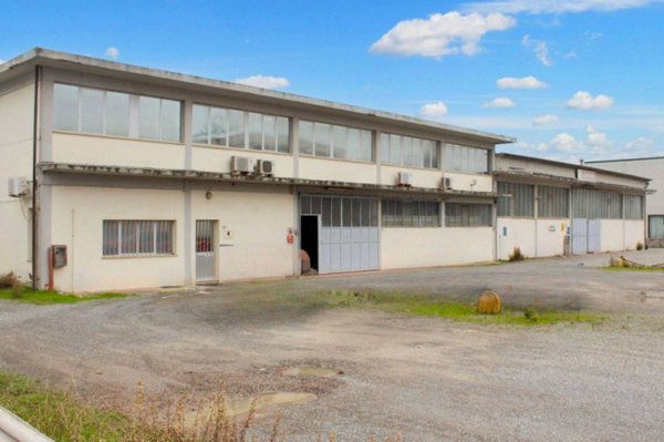 capannone in vendita a Casciana Terme Lari in zona Perignano