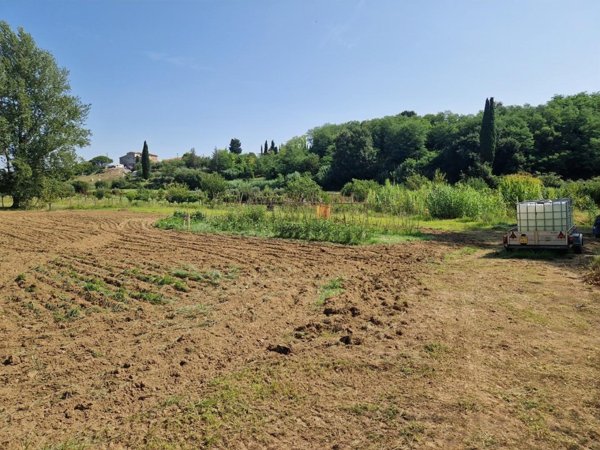 terreno agricolo in vendita a Casciana Terme Lari in zona Lari