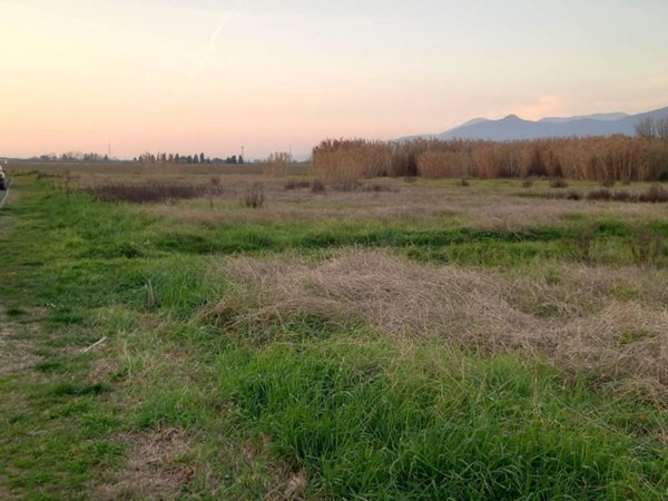 terreno agricolo in vendita a Casciana Terme Lari in zona Lavaiano