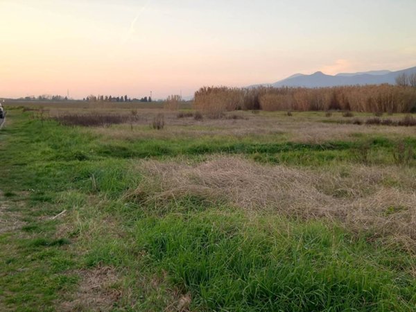 terreno agricolo in vendita a Casciana Terme Lari in zona Lavaiano
