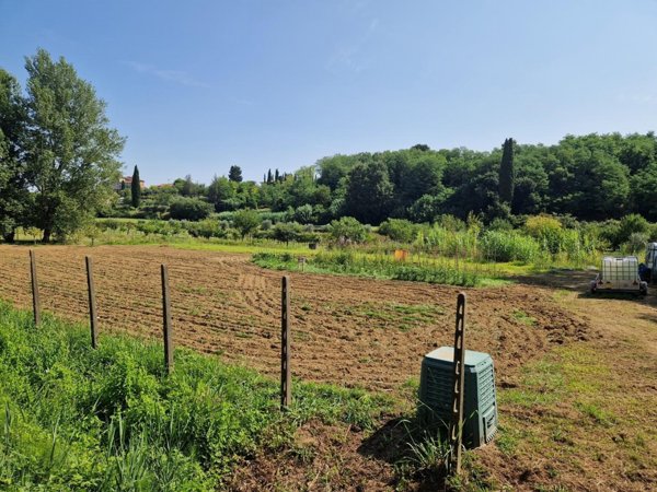 terreno agricolo in vendita a Casciana Terme Lari in zona Perignano