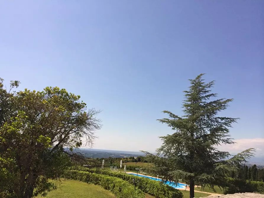 casa indipendente in vendita a Casciana Terme Lari in zona Lari