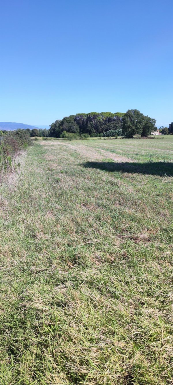 terreno agricolo in vendita a Casciana Terme Lari in zona Quattro Strade