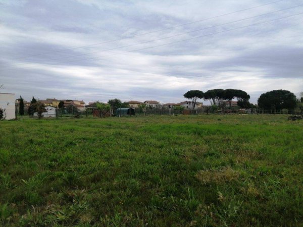 terreno agricolo in vendita a Casciana Terme Lari in zona Perignano