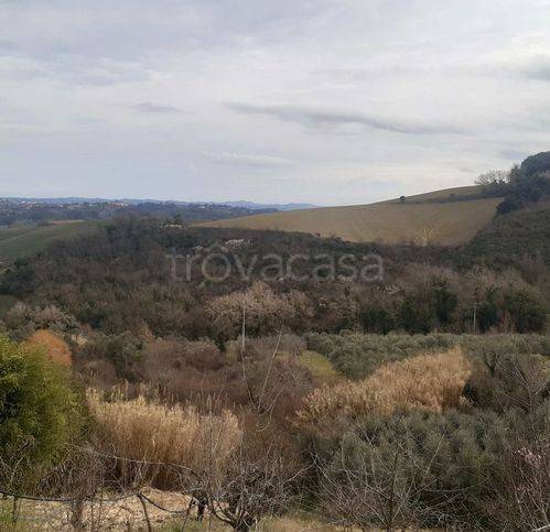 terreno agricolo in vendita a Casciana Terme Lari in zona Casciana Terme