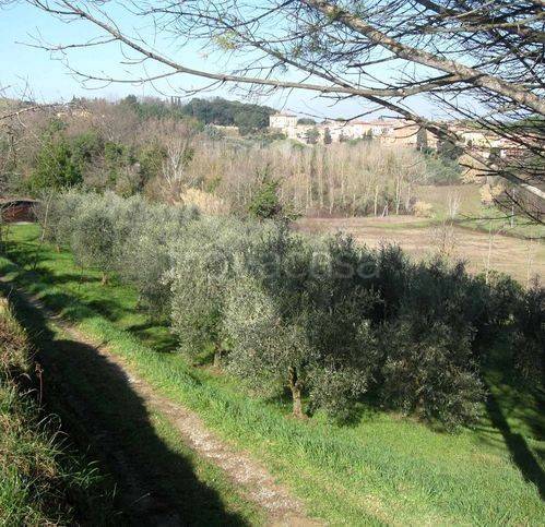 terreno agricolo in vendita a Casciana Terme Lari