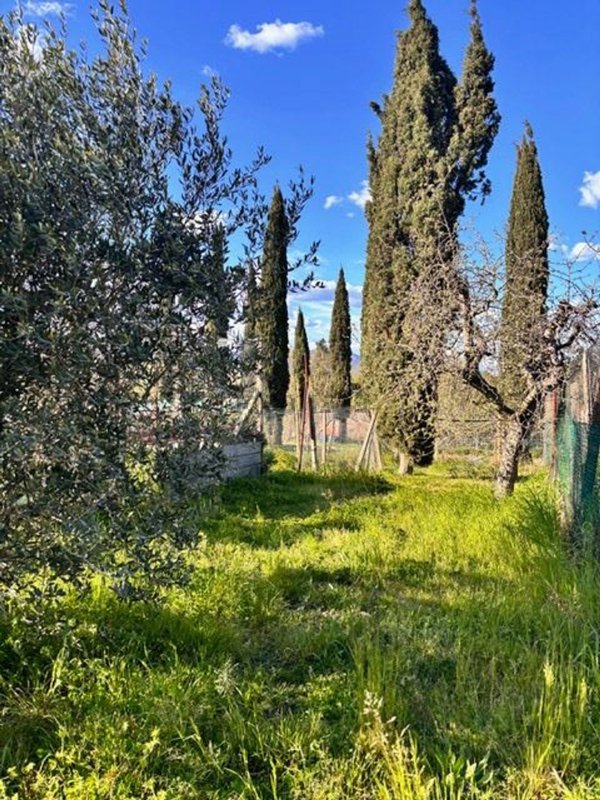 terreno agricolo in vendita a Casciana Terme Lari in zona Perignano
