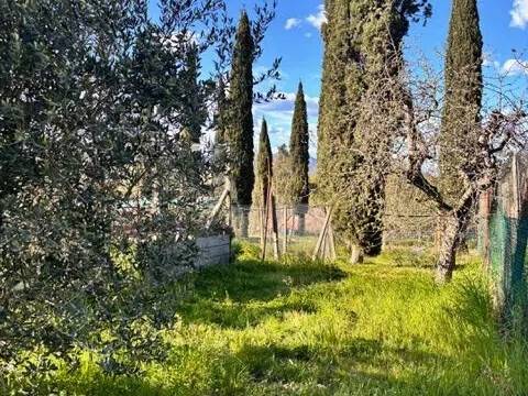 terreno agricolo in vendita a Casciana Terme Lari in zona Perignano