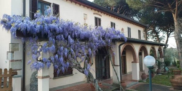 casa indipendente in vendita a Casciana Terme Lari