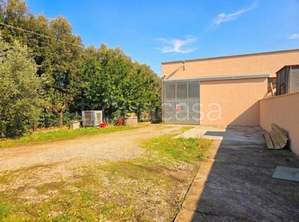locale commerciale in vendita a Casciana Terme Lari in zona Perignano