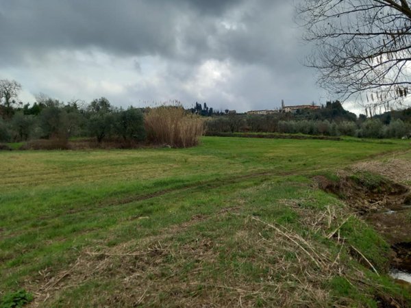 terreno agricolo in vendita a Casciana Terme Lari