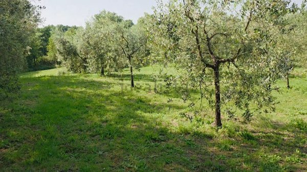 terreno agricolo in vendita a Casciana Terme Lari in zona Perignano