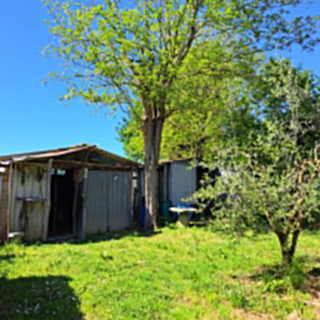 terreno agricolo in vendita a Casciana Terme Lari in zona Perignano