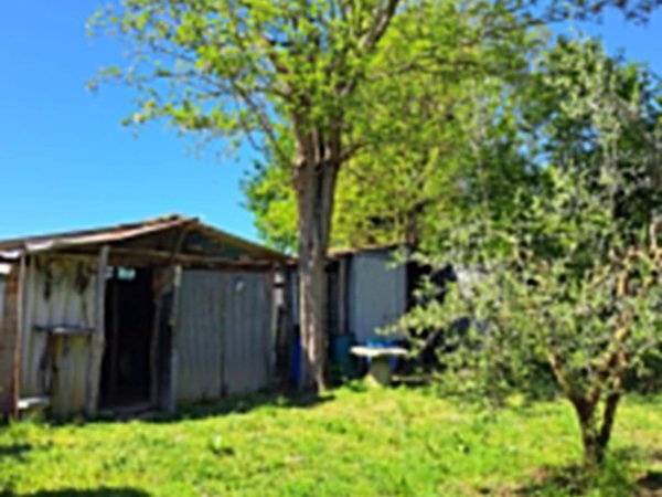 terreno agricolo in vendita a Casciana Terme Lari