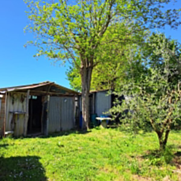 terreno agricolo in vendita a Casciana Terme Lari
