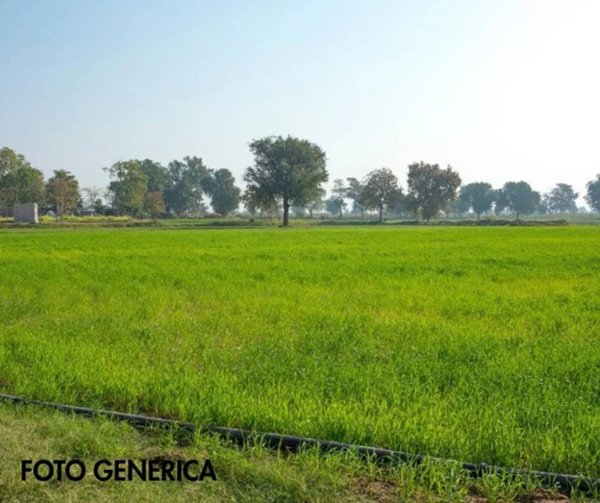azienda agricola in vendita a Casciana Terme Lari