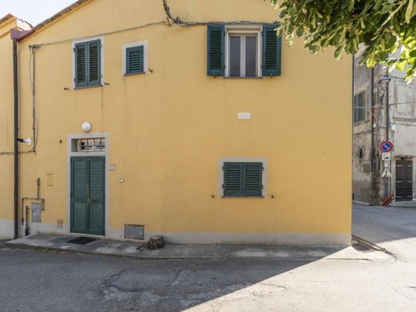 casa indipendente in vendita a Casciana Terme Lari in zona Usigliano