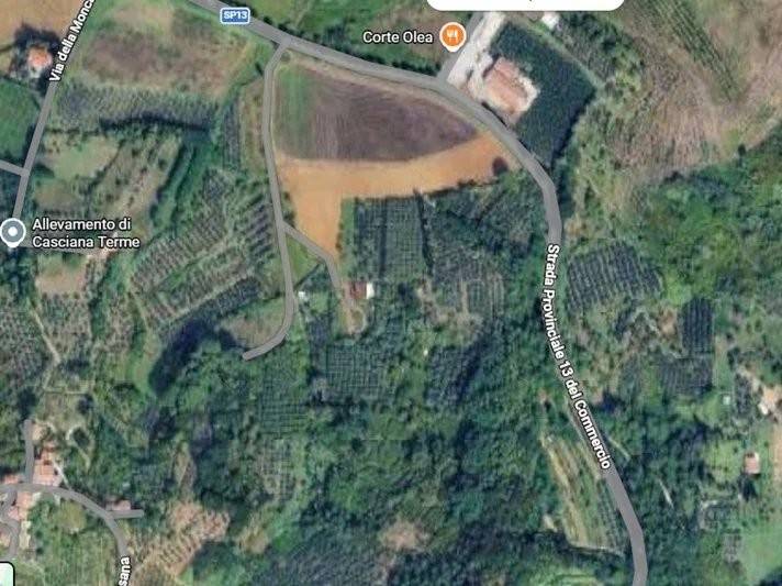 terreno agricolo in vendita a Casciana Terme Lari in zona Collemontanino