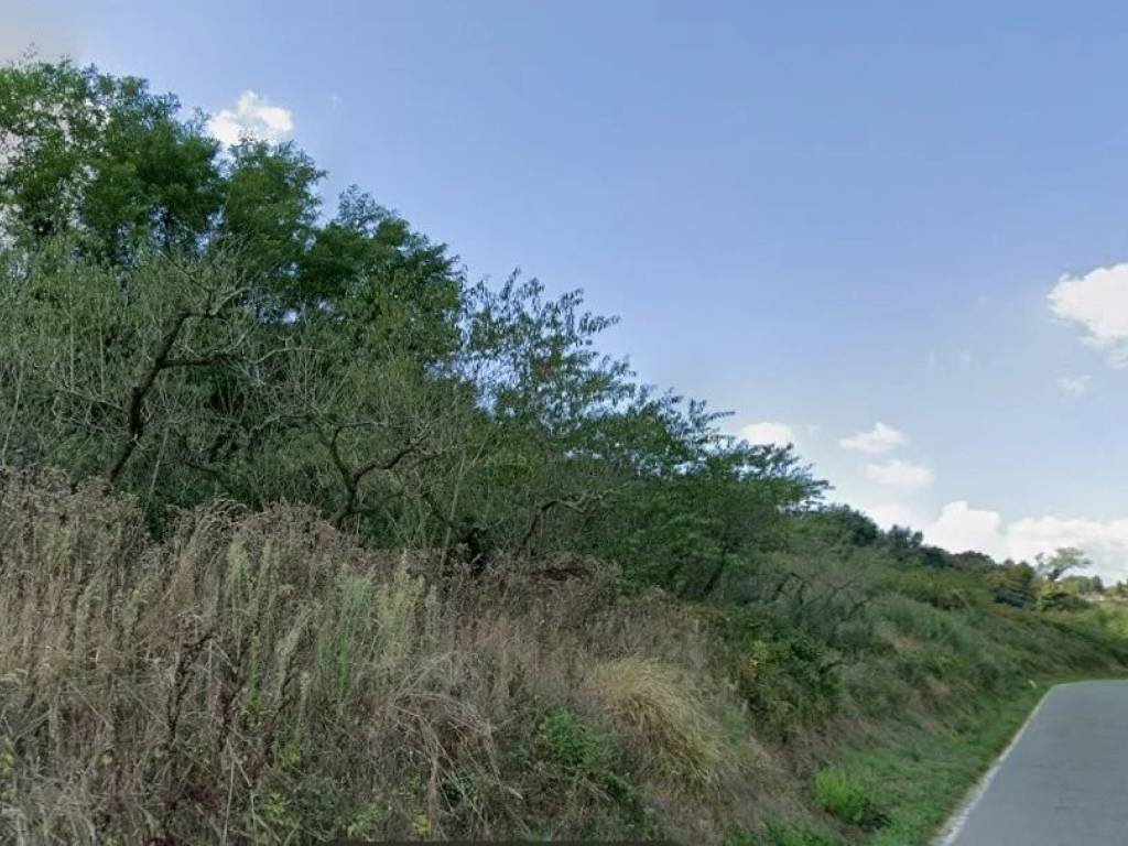 terreno agricolo in vendita a Casciana Terme Lari in zona Usigliano