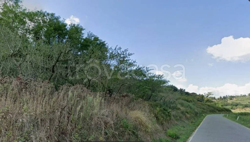 terreno agricolo in vendita a Casciana Terme Lari in zona Usigliano