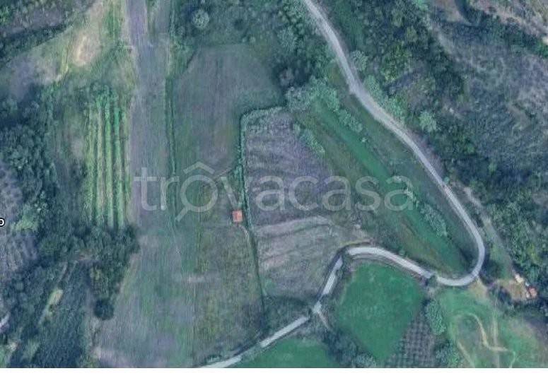 terreno agricolo in vendita a Casciana Terme Lari in zona Usigliano