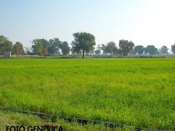 terreno in vendita a Casciana Terme Lari in zona Perignano