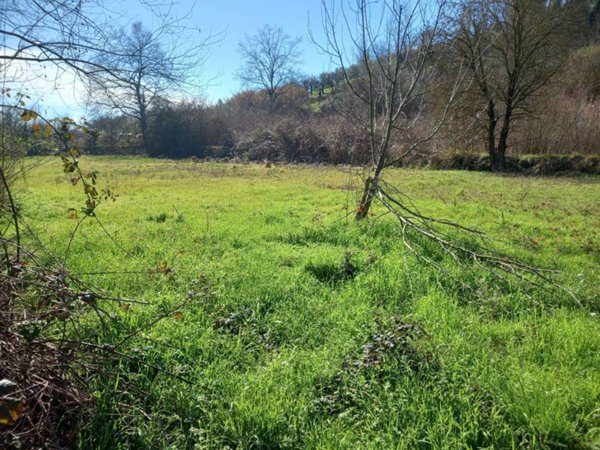 terreno in vendita a Casciana Terme Lari in zona Casciana Terme