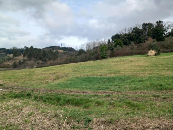 terreno agricolo in vendita a Casciana Terme Lari in zona Casciana Alta