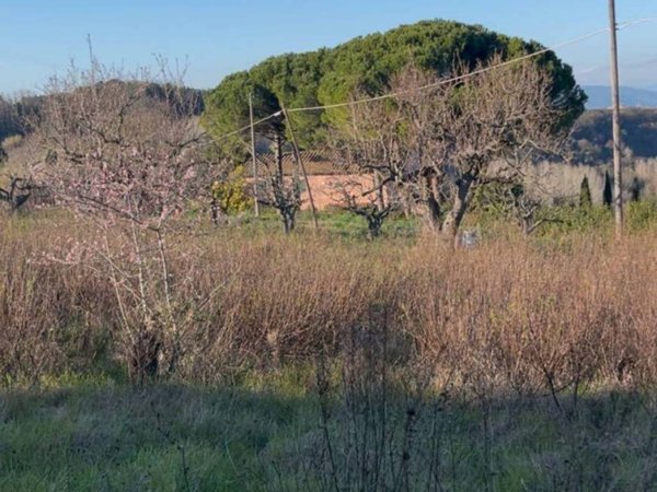 terreno in vendita a Casciana Terme Lari in zona Casciana Alta