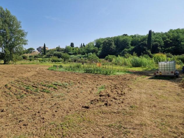 terreno agricolo in vendita a Casciana Terme Lari in zona Perignano
