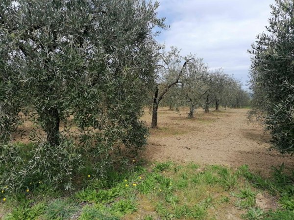 terreno in vendita a Casciana Terme Lari in zona Perignano