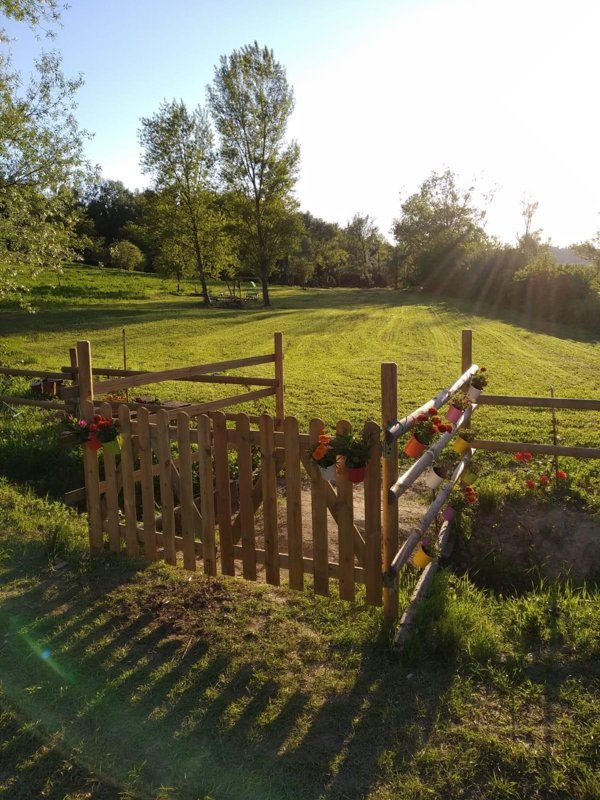 terreno agricolo in vendita a Crespina Lorenzana in zona Crespina