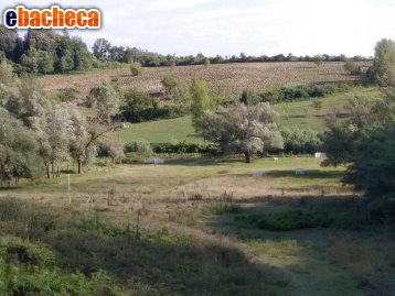 terreno agricolo in vendita a Crespina Lorenzana in zona Crespina