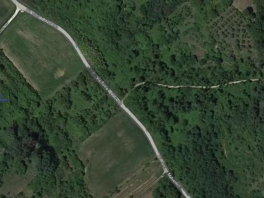 terreno agricolo in vendita a Crespina Lorenzana in zona Crespina
