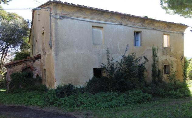 terreno agricolo in vendita a Crespina Lorenzana