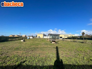 casale in vendita a Crespina Lorenzana in zona Lavoria